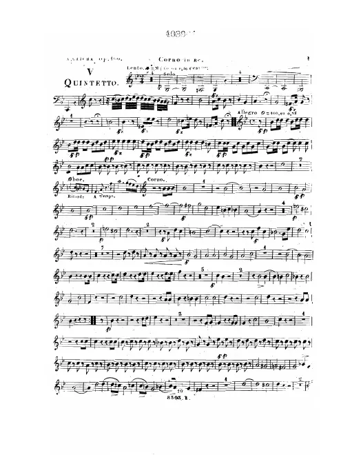 Horn (D)