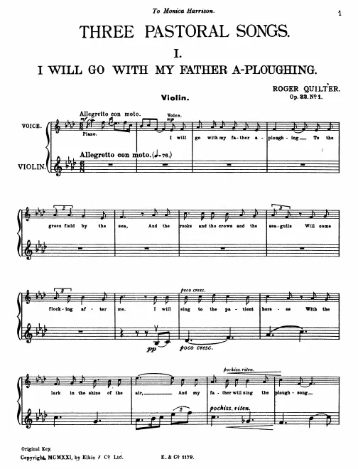 Violin (High Voice)