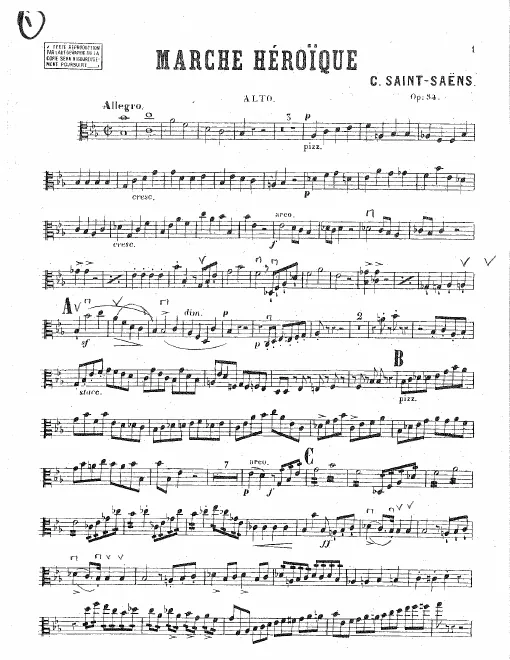 Violas