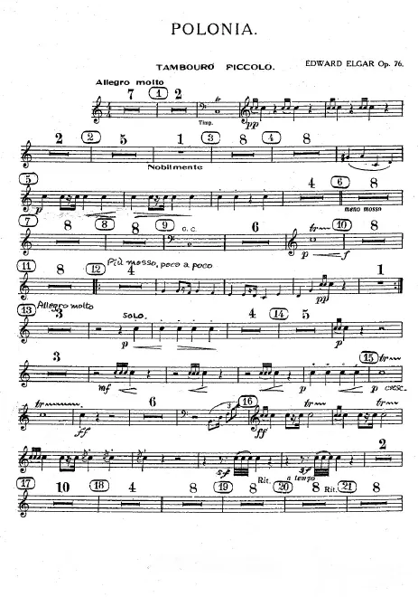 Percussion (Small Drum, Triangle, Tambourine, Bass Drum/Cymbals)