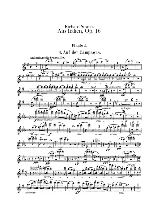 Flute 1