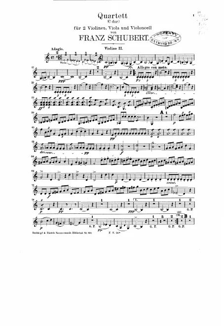 Violin 2