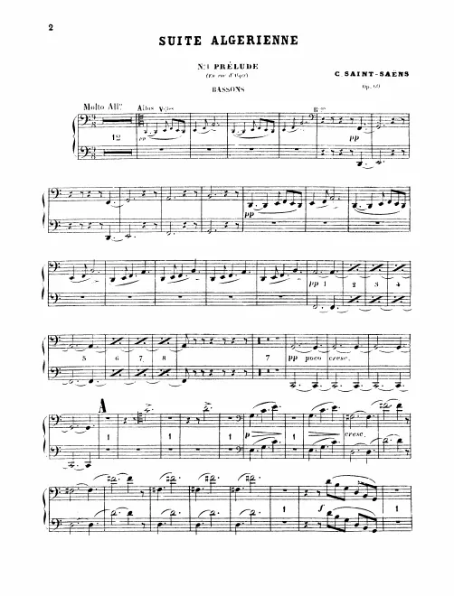 Bassoon 1/2