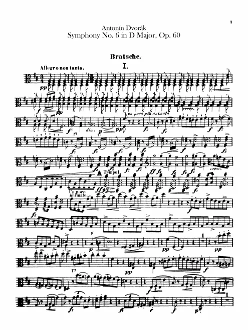 Violas