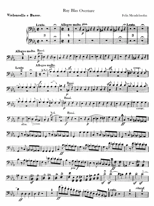 Cellos / Basses
