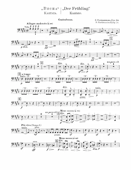 Basses
