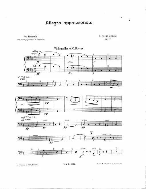 Cellos/Basses