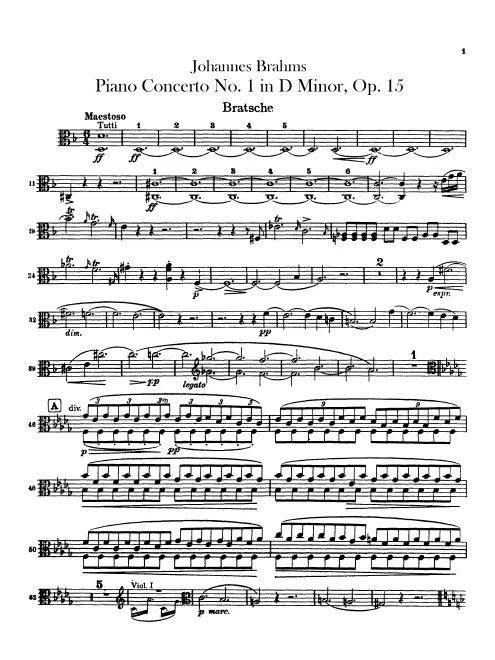 Violas