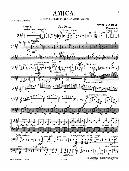 Basses
