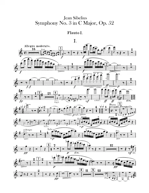 Flute 1