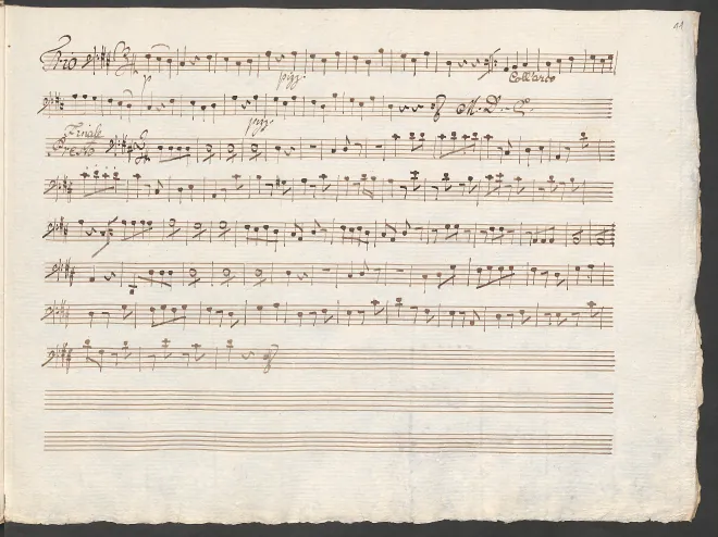 Cello (Segment 2)