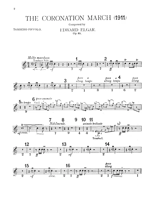 Snare Drum (Piccolo), Snare Drum (Tenor)