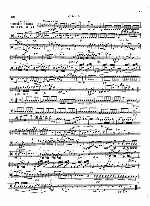 Viola