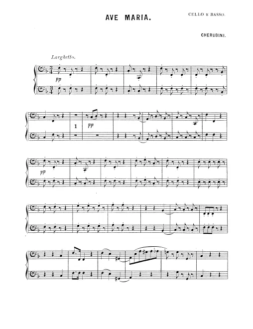 Cello/Double Basse