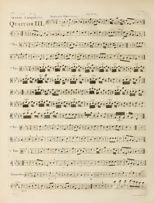 Viola