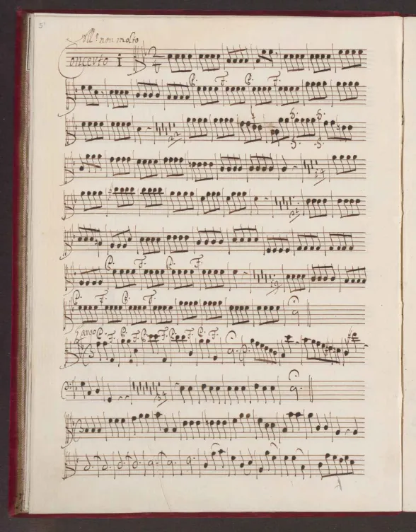 Violas