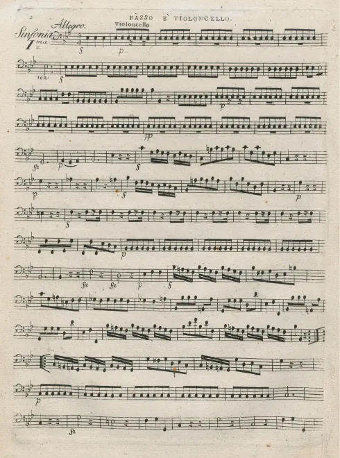 Cellos/Basses