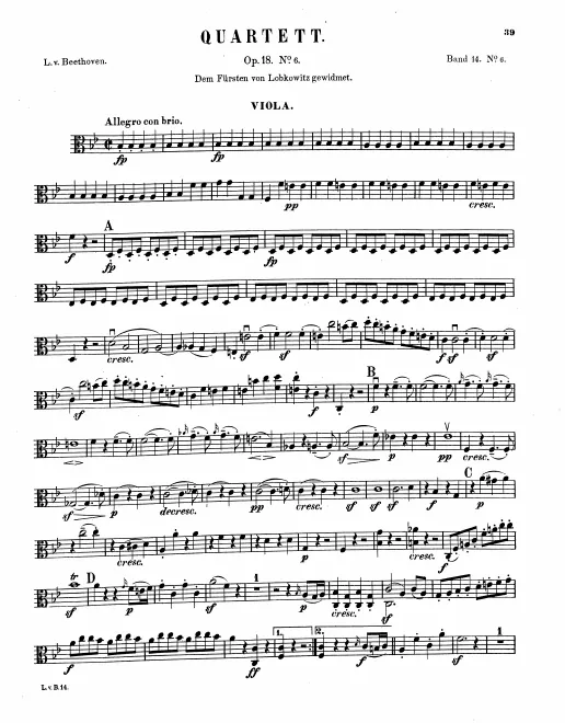 Viola