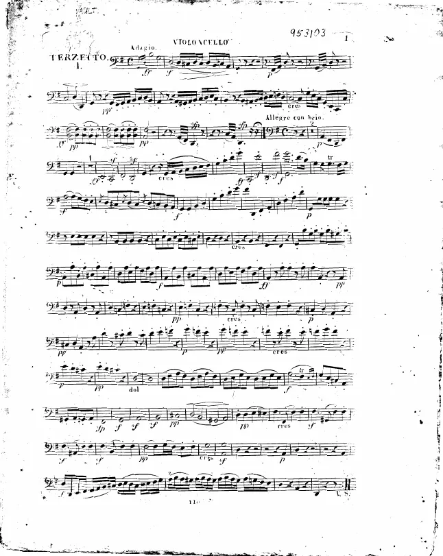 Cello