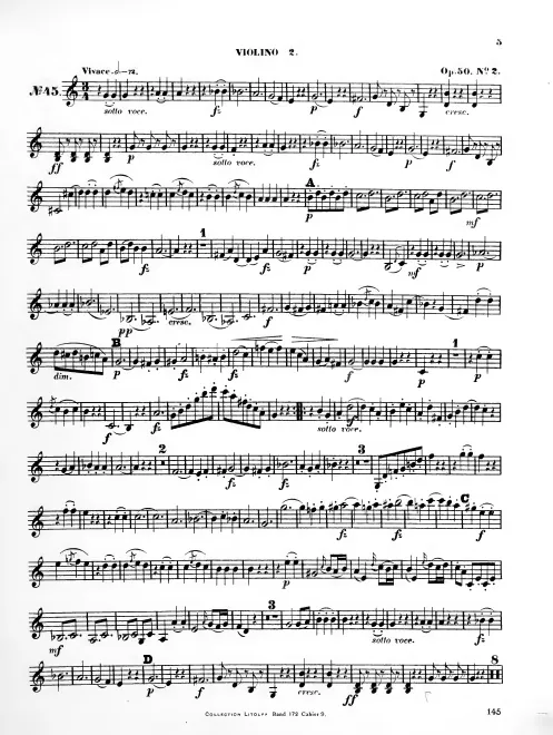 Violin 2