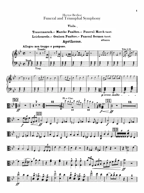 Violas