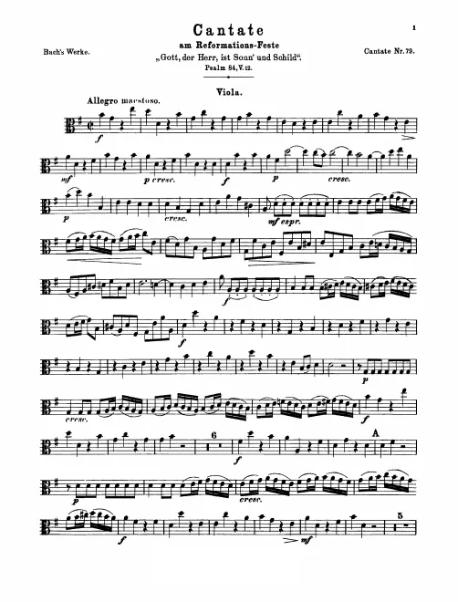 Violas