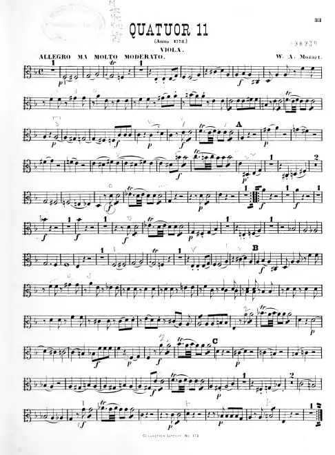 Viola