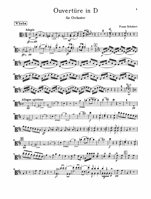 Violas