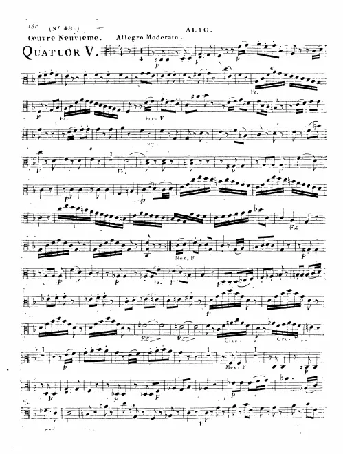 Viola