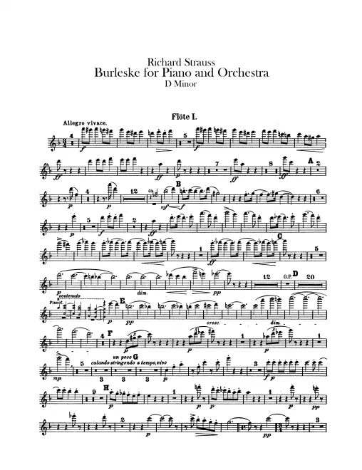 Flute 1