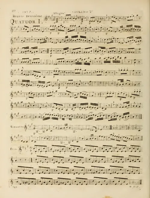 Violin 2