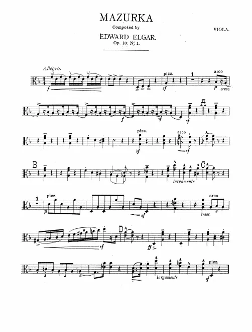 Violas