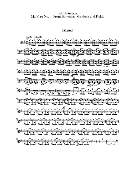Violas