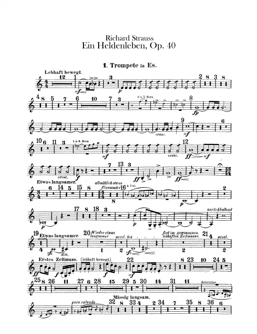Trumpet 1 (E)