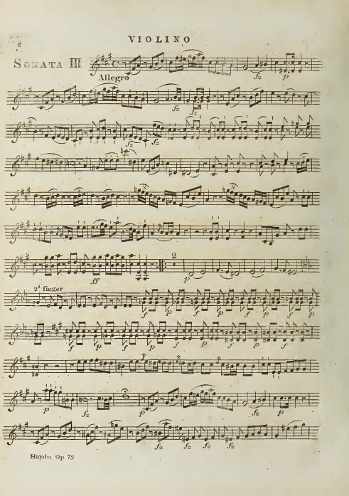 Violin