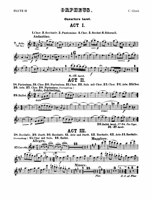 Flute 2