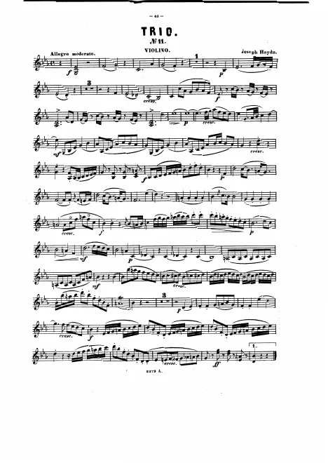 Violin