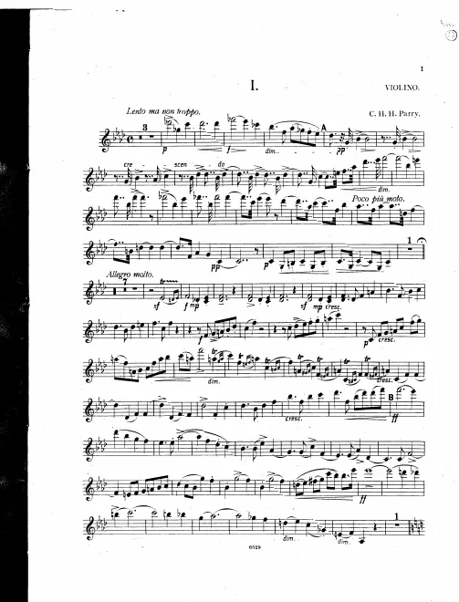 Violin