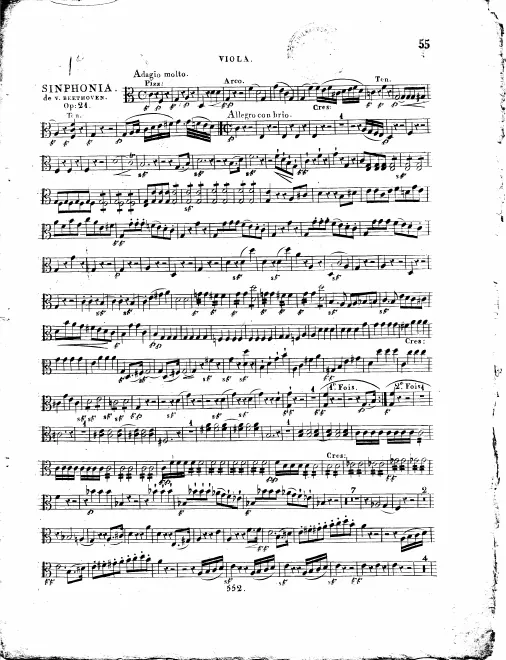 Violas