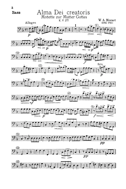 Cellos and Basses