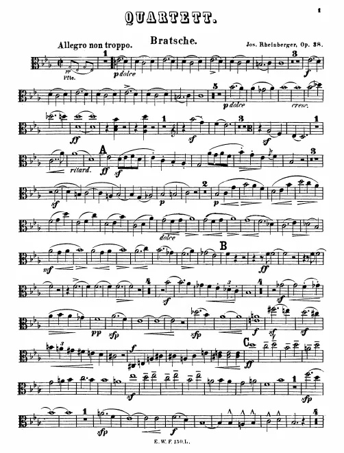 Viola (black and white)