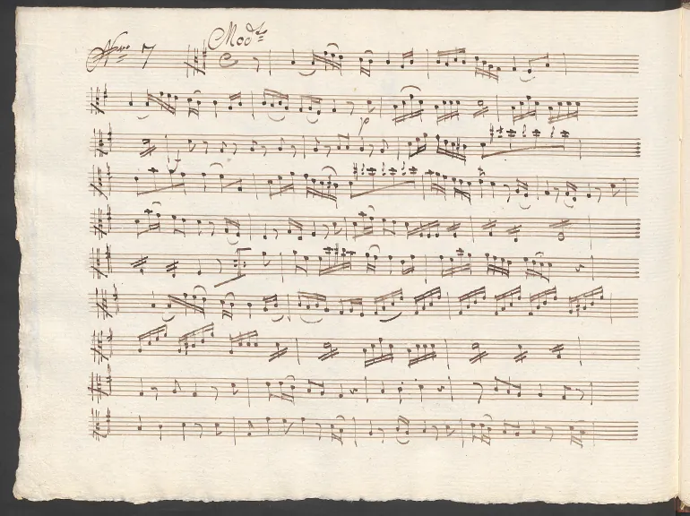 Viola