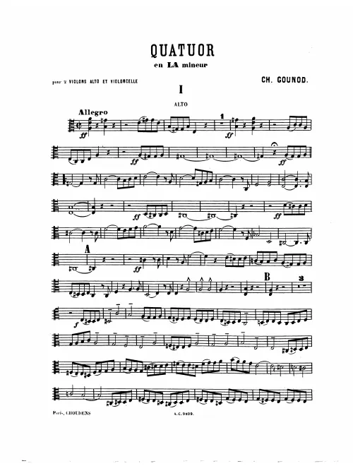 Viola