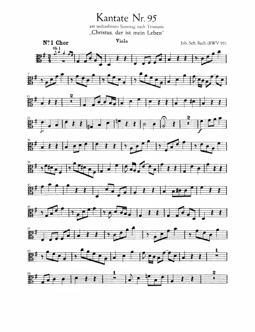 Violas