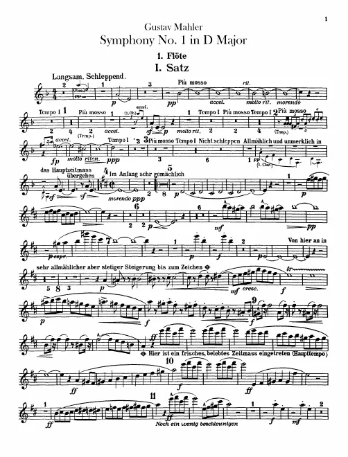 Flute 1
