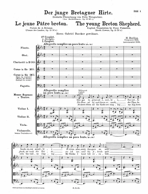4. Le jeune Pâtre breton