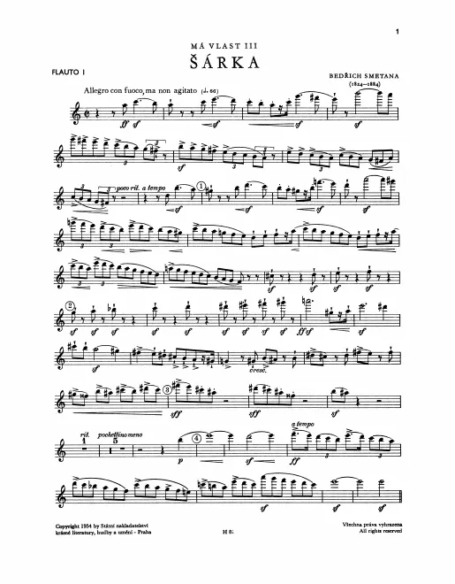 Flute 1