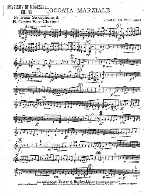 Contrabass Clarinet/Bass Saxophone (B)