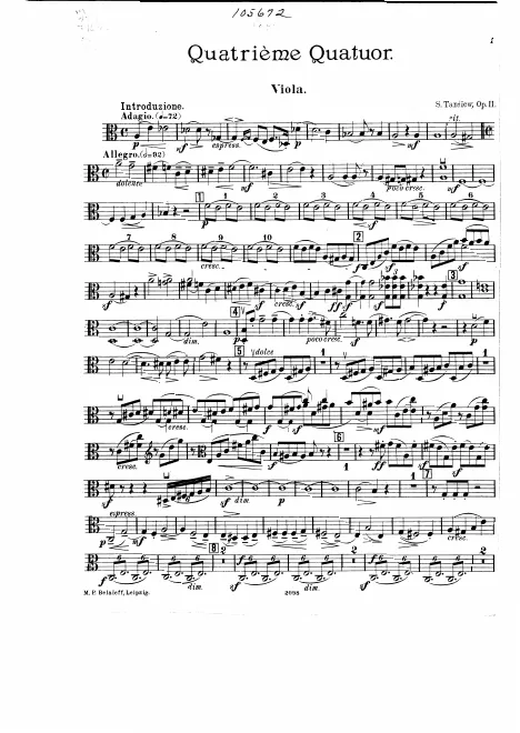 Viola