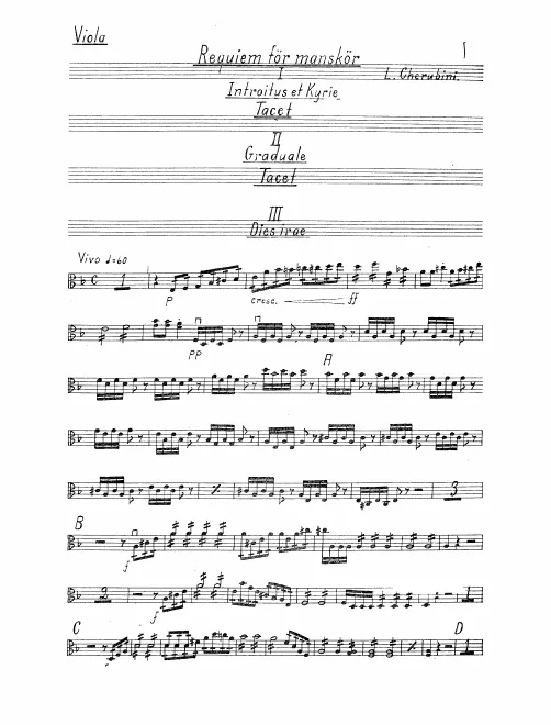 Violas